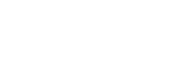 bit logo tm - white